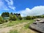 1019 Owaka Valley Road, Owaka Valley - Carousel 17