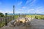1620 East Coast Road, WHAKATIWAI, MIRANDA - Carousel 1
