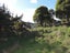 1411 Rotowaro Road, Glen Afton, Huntly - Carousel 24