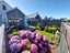 77 Caulfield Avenue, Halswell, Christchurch - Carousel 10