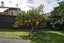 11 Mahoe Street, Melville, Hamilton - Carousel 23