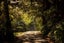 2B DEEP CREEK RD, Torbay, Auckland - Carousel 1