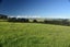 986 Tinopai Road, Matakohe - Carousel 42