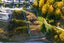 10 Galway Court, Queenstown, Queenstown - Carousel 5