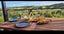 275 Devich Road, Kaiwaka - Carousel 7