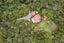 16 La Trobe Track, Karekare, New Lynn - Carousel 3