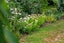 1204 Kaipaki Road, Cambridge, Cambridge - Carousel 16