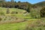 299 Peria Road, Peria, Kaitaia - Carousel 16