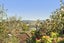 4/130A Shackleton Road, Mount Eden, Auckland - Carousel 20