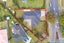 122 Dominion Road, Nawton, Hamilton - Carousel 31