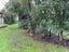 15 High Street, Woodbury - Carousel 5