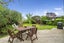 10 Seaforth Grove, Greerton, Tauranga - Carousel 19