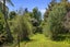 4 Dunbar Place, Highlands Park, New Plymouth - Carousel 9