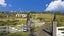 35 Mill Flat Road, Albany - Carousel 2