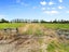 279 Longbeach Road, Willowby, Ashburton - Carousel 21