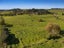 2640 SOUTH HEAD ROAD, Helensville, Auckland - Carousel 45