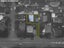 145 Selwyn Street, Somerfield, Christchurch - Carousel 1