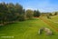 1215 Pleasant Point-Cave Highway, Pleasant Point - Carousel 42