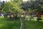 657 Domett Road, Domett, Cheviot - Carousel 25
