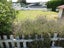 9 Carthew Terrace, Foxton Beach, Foxton - Carousel 4