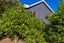 23 Sea View Road, Ostend, Waiheke Island - Carousel 13