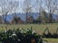 6 Ihimaera Terrace, Leamington, Cambridge - Carousel 4