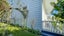 402 Williamson Street, Thames, Thames - Carousel 38