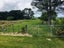 0 Stanly Street, Eketahuna, Eketahuna - Carousel 5
