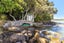 32 Omiha Road, Omiha, Waiheke Island - Carousel 3
