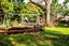 1/2 Pegler Avenue, Royal Oak, Auckland - Carousel 3