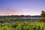 11 Caldera Close, Pyes Pa, Tauranga - Carousel 22