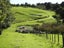 543 Three Mile Bush Road, Te Kamo, Whangarei - Carousel 14