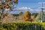 52 Grey St, Raetihi, Raetihi - Carousel 32