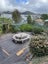 36 Graham Avenue, Te Atatu Peninsula, Auckland - Carousel 2