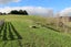255 Lees Pakaraka Road, Te Ore Ore, Masterton - Carousel 5