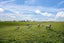 98 McIntosh Road, Otautau, Otautau - Carousel 18