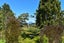 207 Kokako Heights, Matata, Matata - Carousel 12