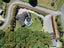 75 Tudehope Road, Kamo - Carousel 42