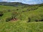 304B Pigeon Flat Road, Mount Cargill, Waitati - Carousel 11