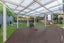 477B Richardson Road, Mount Roskill, Auckland - Carousel 2