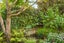 15A Henry Street, Avondale, Auckland - Carousel 21