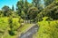1801 East Coast Road, WHAKATIWAI, MIRANDA - Carousel 24