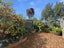 27 Rintoul Street, Newtown, Wellington - Carousel 14