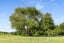 561 Settlement Road, Kaiwaka - Carousel 50