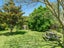 77 Havelock Street, Renwick - Carousel 20