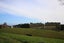 118 Old Port Road, Warepa - Carousel 8