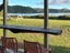 20 Owai Avenue, Helena Bay, Hikurangi - Carousel 14