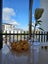 2 Mayfly Lane, Hobsonville, Auckland - Carousel 7
