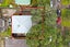 13A Irirangi Road, Greenlane, Auckland - Carousel 19