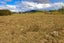 504 Falls Road, WAERENGA, TE KAUWHATA - Carousel 4